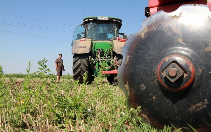 DSTV | Jó volt a termés a környéken