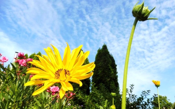 Időjárás: mozgalmas, csapadékos nyitány – a végén sok napsütéssel