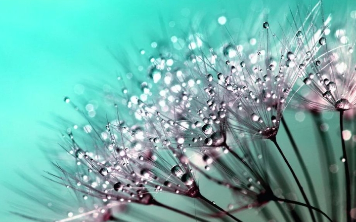 Fussunk neki a kánikulai hosszú hétvégének