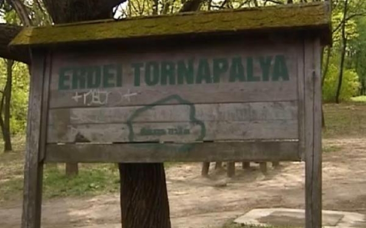 Az erdei tornapálya múltja, jelene és jövője