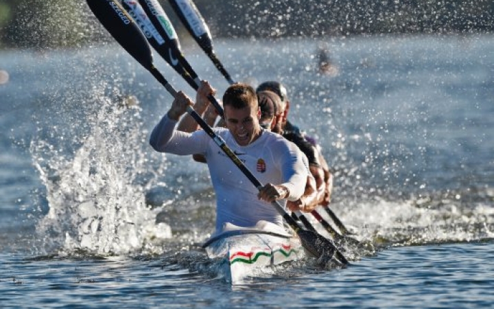 Vereség nagy csatában