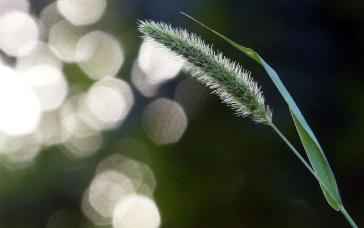 Időjárás: még csak nevében ősz – nyárias hetünk lesz!