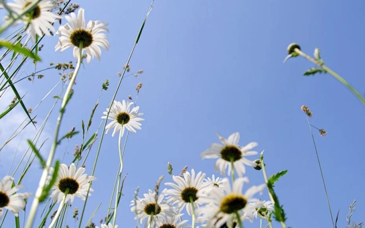 Még egy picivel melegebb a tegnapinál