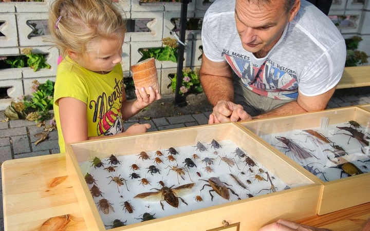 Városvédők Újtelepért: gazdag kínálat a családi ÖKO-napon