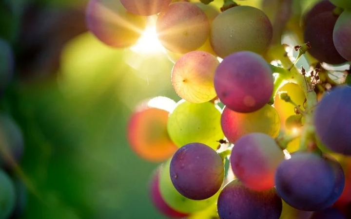 Még két nap a nyárból