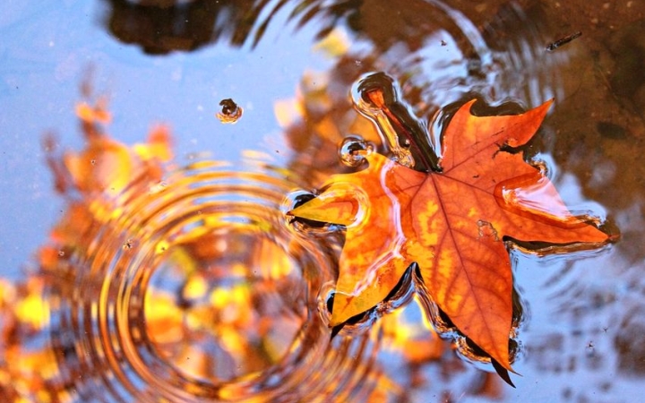 Lassan befejezhetjük az esőtáncot – érkezik a csapadékzóna!