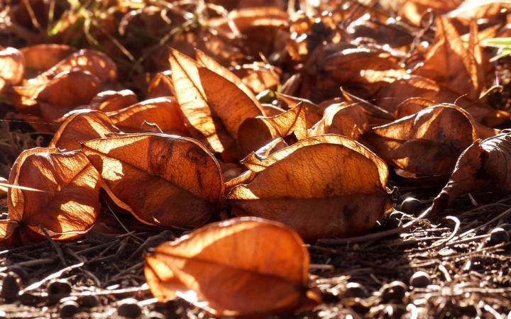 Időjárás: szeles és csapadékos, de enyhe őszidő