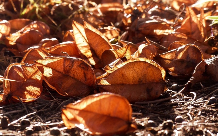 Időjárás: szeles és csapadékos, de enyhe őszidő