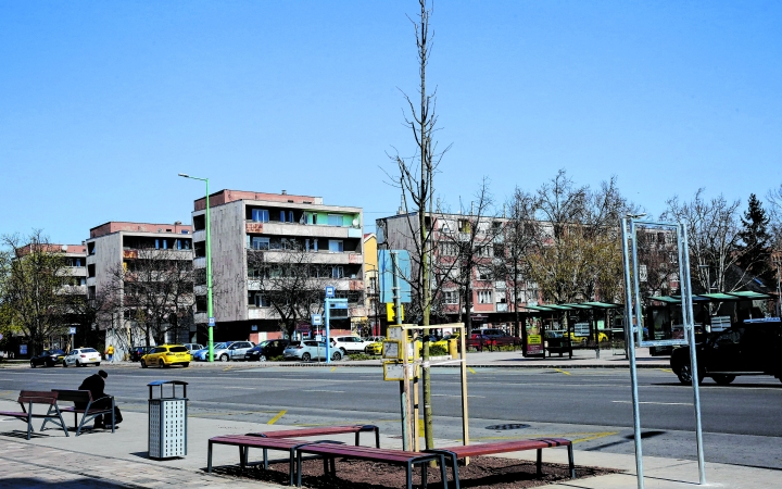 Megeredtek, egészségesek a korábban elültetett fák 