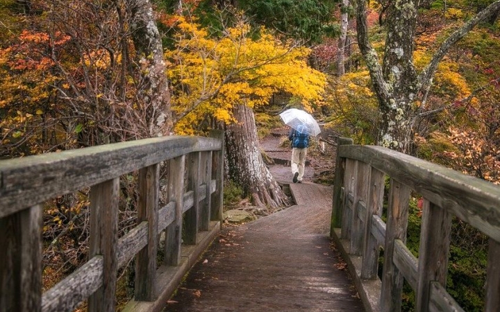 Hűvös idő, felhős ég, igazi ősz