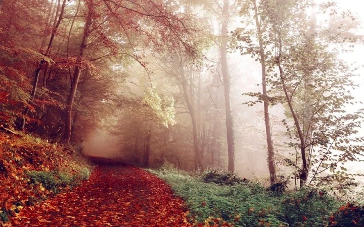 Változékony és hűvös őszi nap