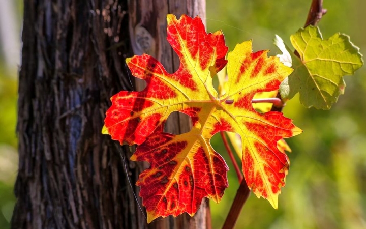 Átrohant a zivatar, marad a szél