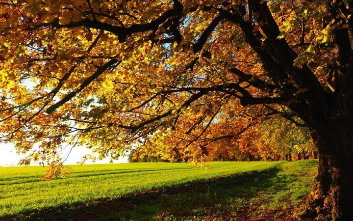 Derült ég és viharos szél lesz ma