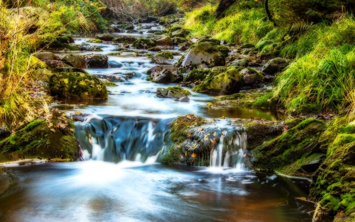 Két új víziegérfajt fedeztek fel 