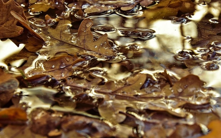 Nyugalmas szombat után mozgalmas vasárnap