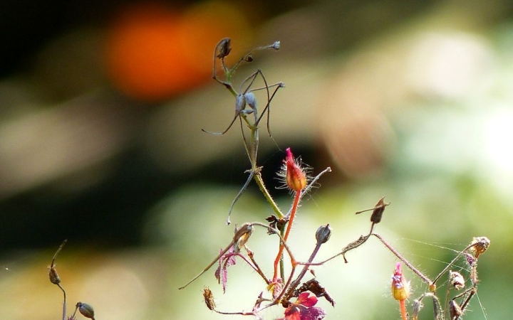 Időjárás: front hátán front egész héten, rengeteg csapadékkal