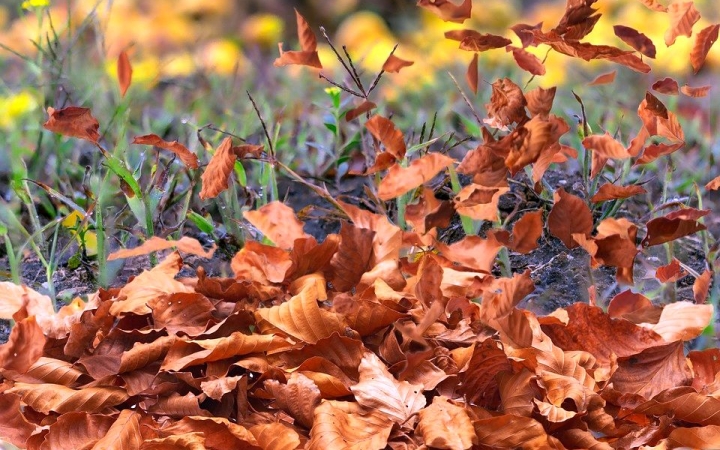 A felhőzet csökken, de sokfelé marad az erős szél
