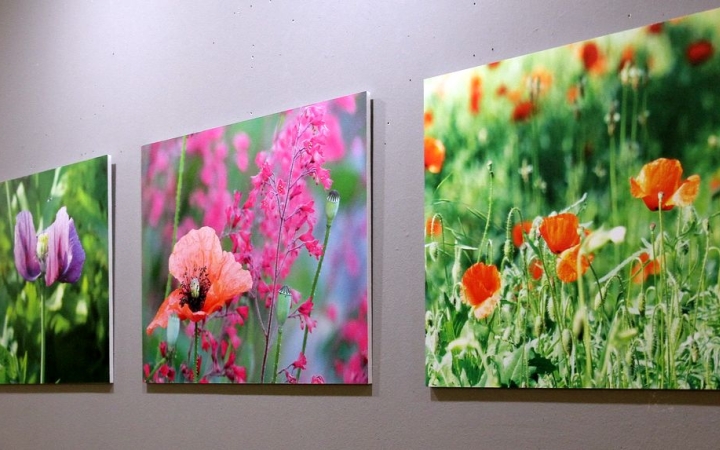 "... sétáljanak ki egy vadvirágos rétre..."