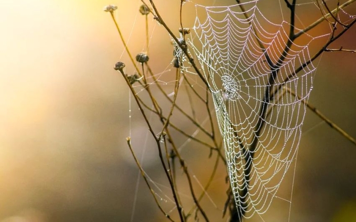 Ködös reggel után cikloncsata