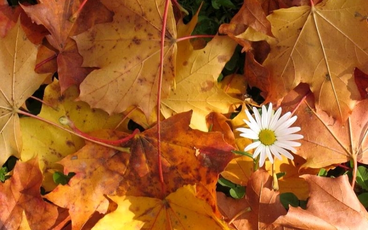 Csöndes és csapadékmentes napunk lesz