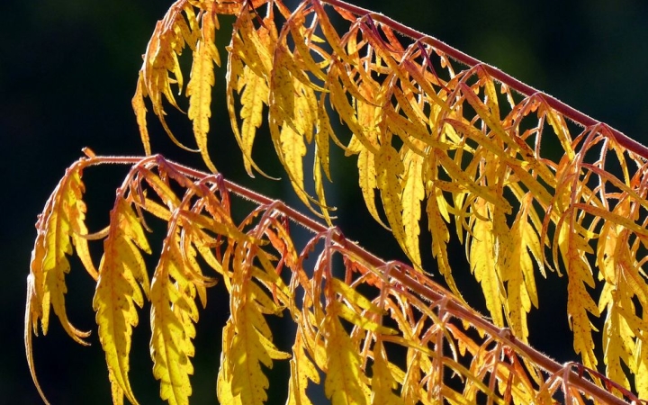 Időjárás: marad a kellemes, enyhe őszi idő