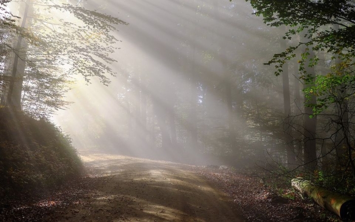 Ködös reggel után napos nap