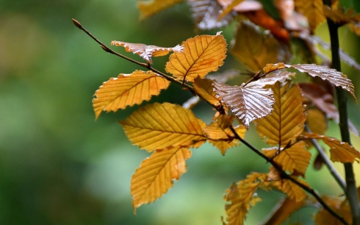 Front + front = változékony idő