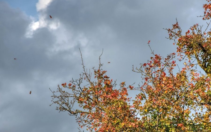 Viszonylag enyhe, de szeles  szombat