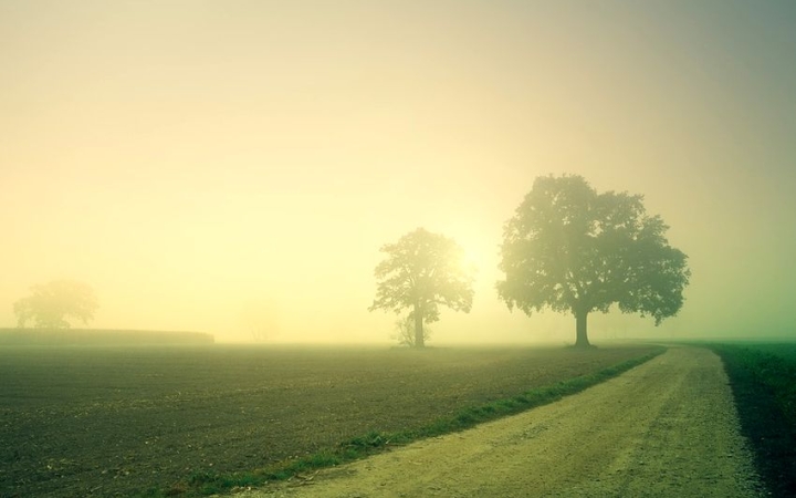 Borult ég, köd, szitálás, majd befut a csapadékzóna