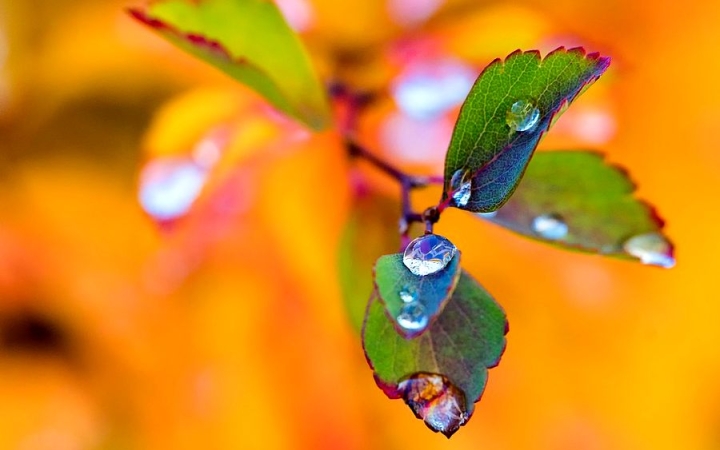Szakadozó felhőzet délutántól – fokozódó lehűléssel