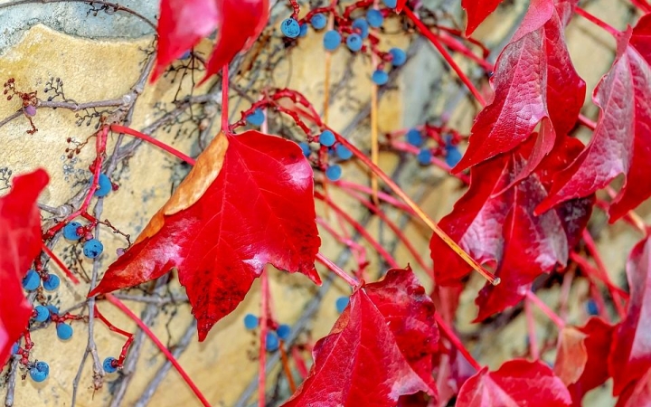 Tartós anticiklon, és végre mosolygós napsütés