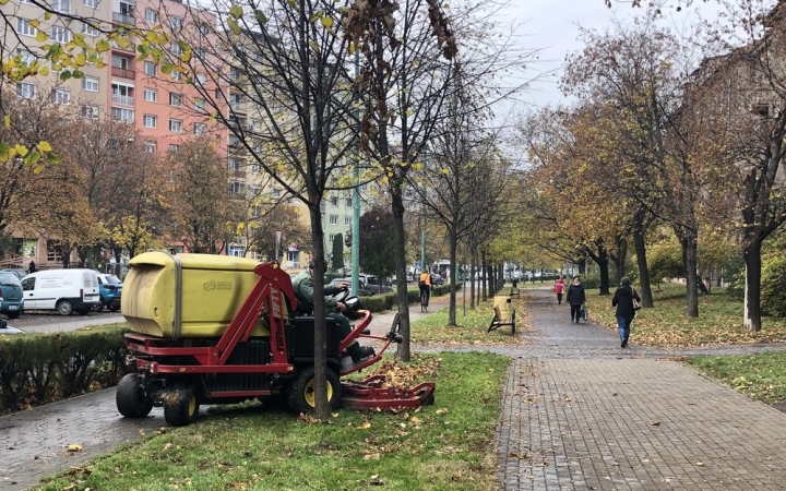 Külön-külön is együtt – levélgyűjtéssel a tiszta városért!