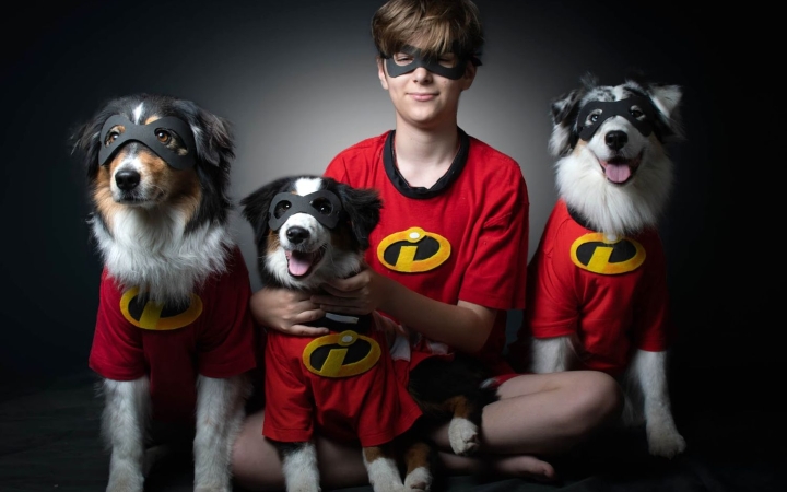 Kutyatartási etikett után kutyaiskolák (3.)