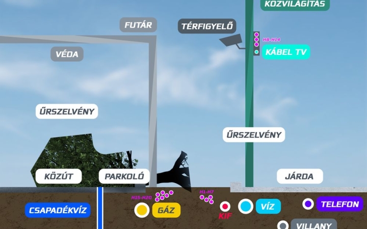 Tudományos tény – nehéz a városi fák élete