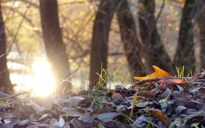 Fagyos nyitány, aztán komoly enyhülés