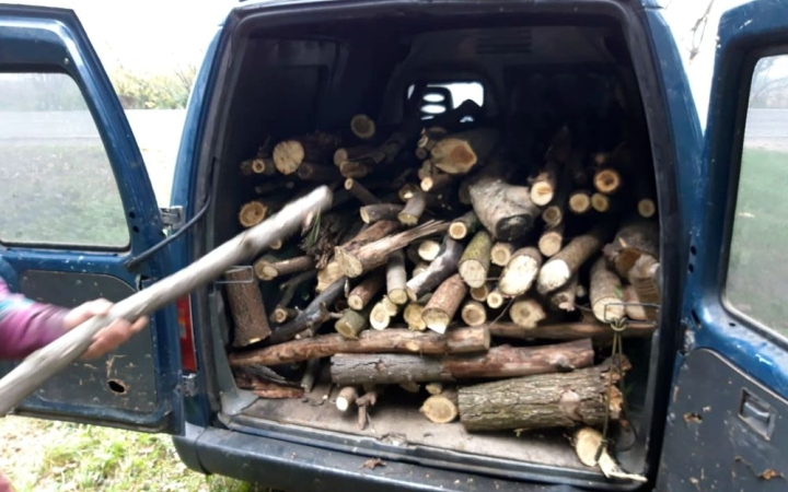 Segítő szándékkal: szemét helyett fával tüzelhetnek 