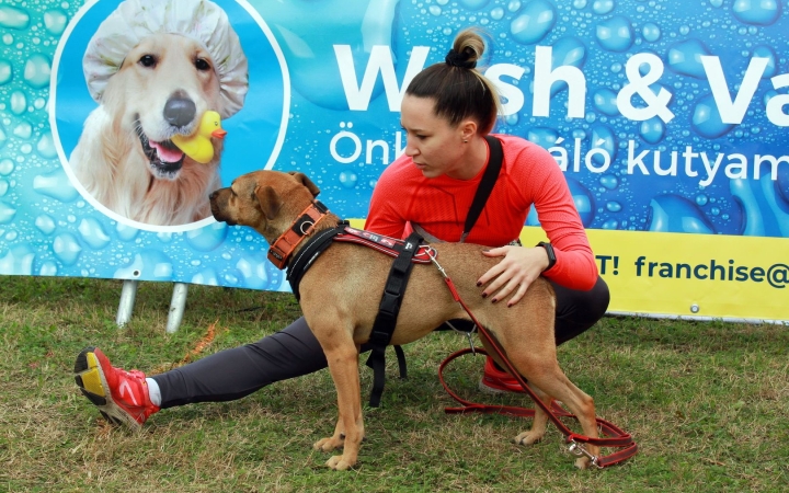 A kutyák nem tudják, hogy a szavak minden hangja számít