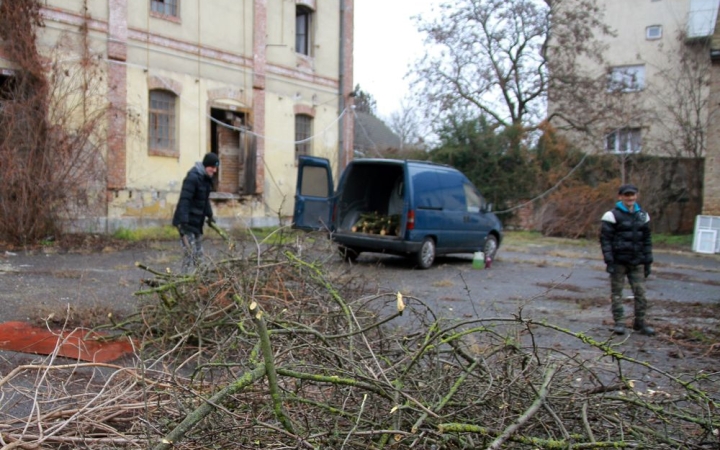 A Malomban vágtak fát a rászorulóknak 