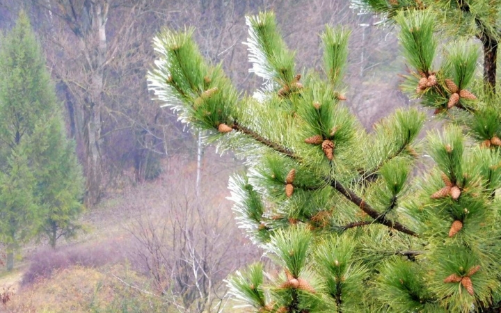 Viharos nyitány után masszív enyhülés