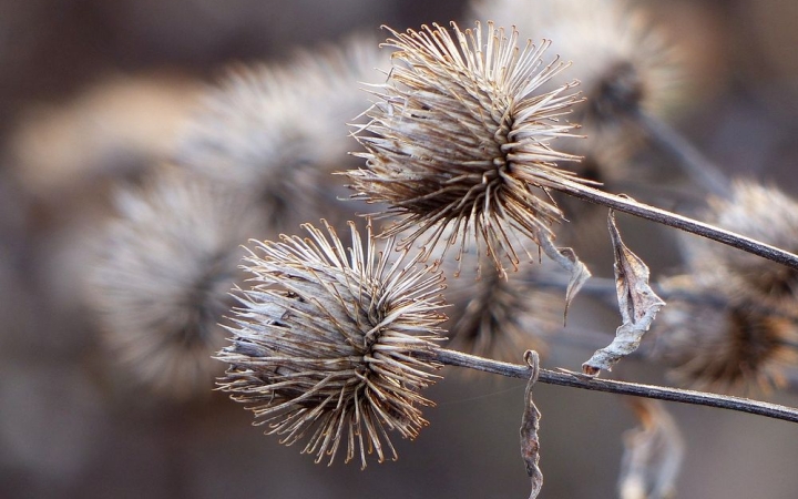 Napsütéses nyitány után durva fagyok a hét végén!