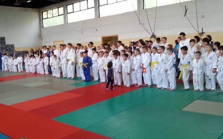 Cselgáncs: éremeső Hartán is