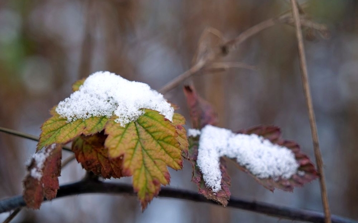 Változékony, szeles, mozgalmas hét áll előttünk
