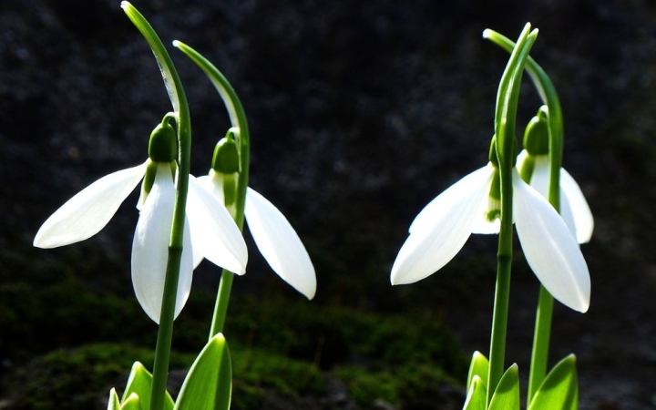 Kopogós kezdet, aztán tépés télből a tavaszba