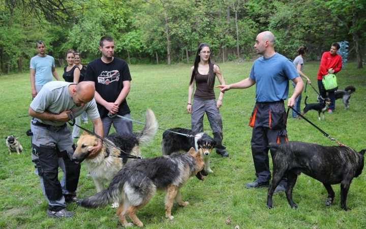 Ebösszeírás - feldolgozták az adatokat