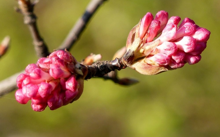 Papíron tavasz, de még visszaköszön a hideg