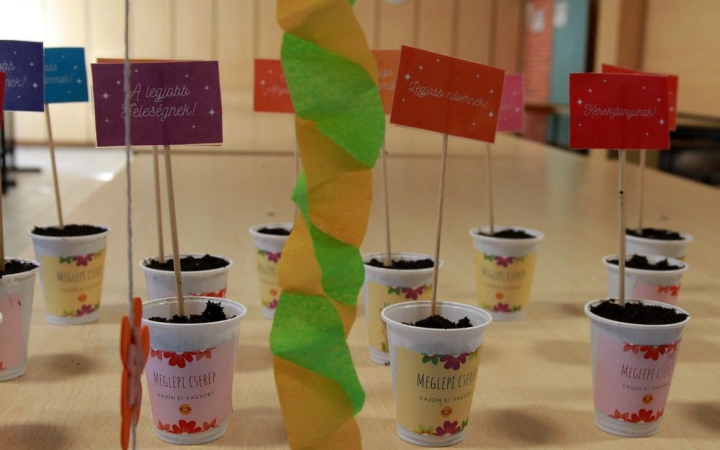 DSTV: virágos ünnepet, boldog nőnapot!