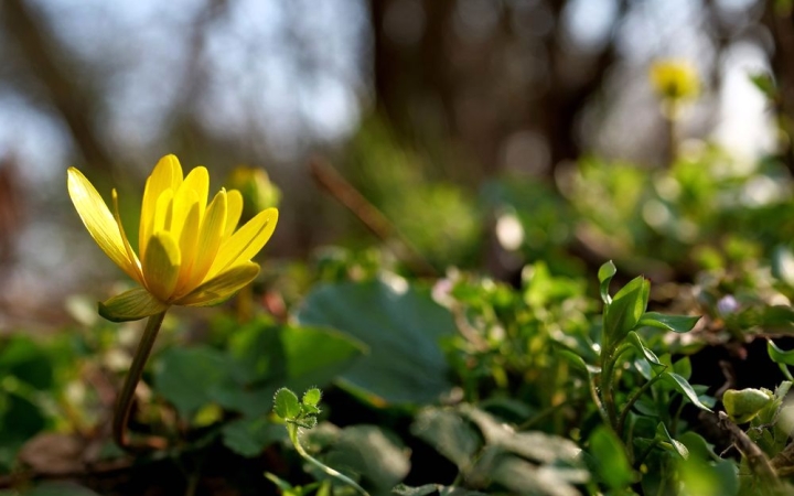 Változékony, de egyre melegebb idő!