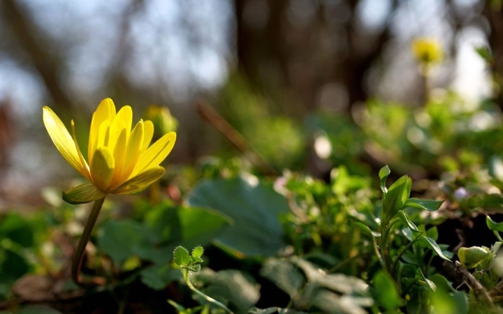 Változékony, de egyre melegebb idő!