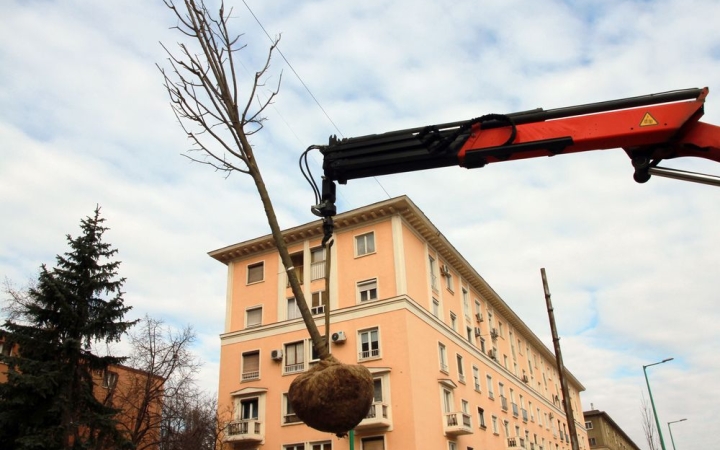 DSTV: újabb 32 Sissi-hárs a Vasmű útra