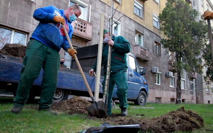 DSTV: faültetés a Gagarin téren